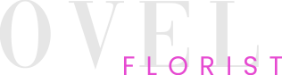 ovel logo1 ovel logo1